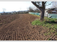 Landwirtschaftsfläche