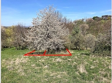 Pfaffentobel