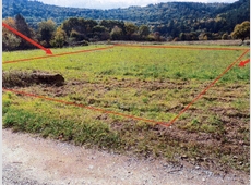 Landwirtschaftsfläche in Neckargemünd