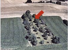 Landwirtschaftsfläche in Wiesloch-Schatthausen