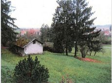 Flöhberg