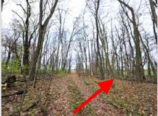8 K 62-25: Waldfläche in Mittenwalde OT Brusendorf