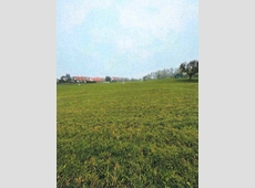 Wiesenfläche