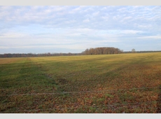 19300 Grabow OT Winkelmoor, Mecklenburg-Vorpommern