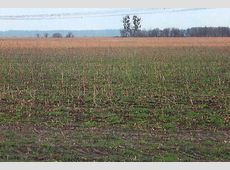 52 K 27-25: Landwirtschaftsfläche in Freiwalde