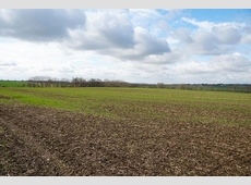 Landwirtschaftsfläche