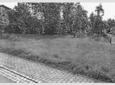 Unbebautes Grundstück/Bauplatz