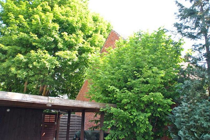 703 K 70-19: Wohngebäude (schlechter baulicher Zustand) in Abtshagen