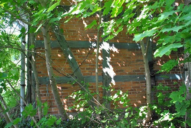 703 K 70-19: Wohngebäude (schlechter baulicher Zustand) in Abtshagen
