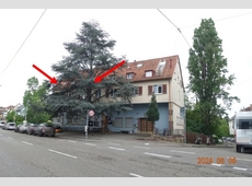Schwarenbergstraße 117